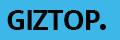 Giztop 促销代码 